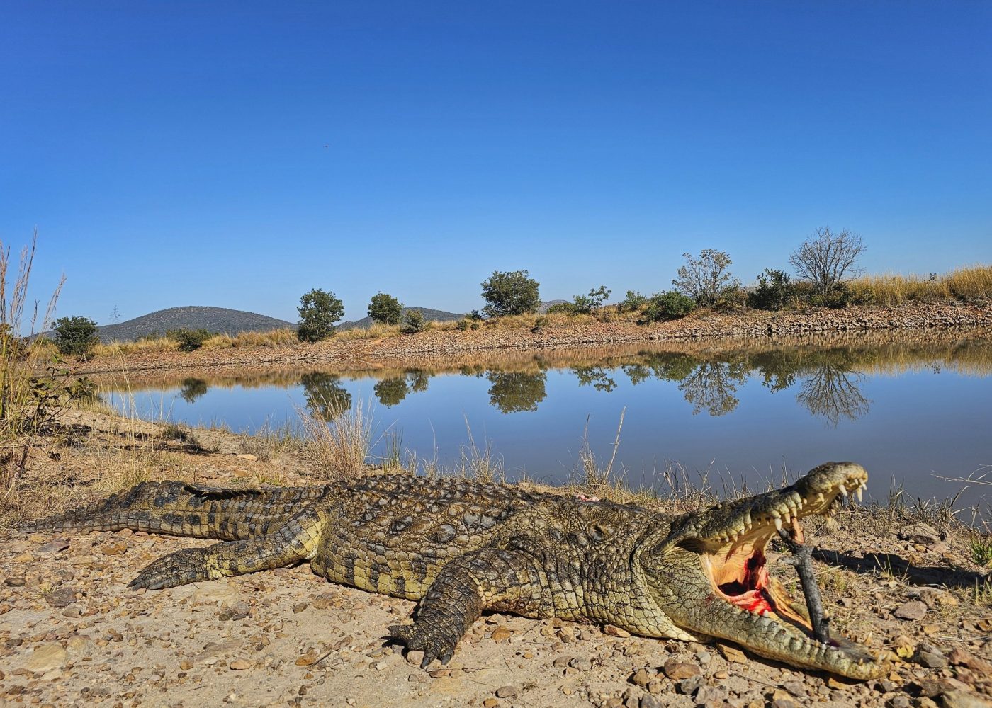 Langkloof hunting gallery photograph 32