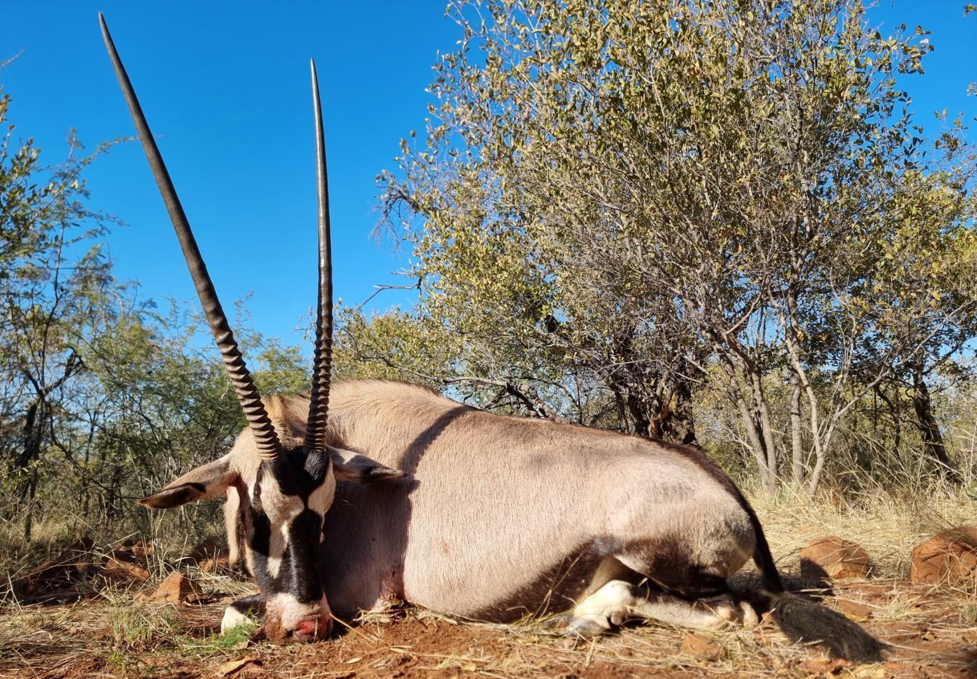Langkloof hunting gallery photograph 97