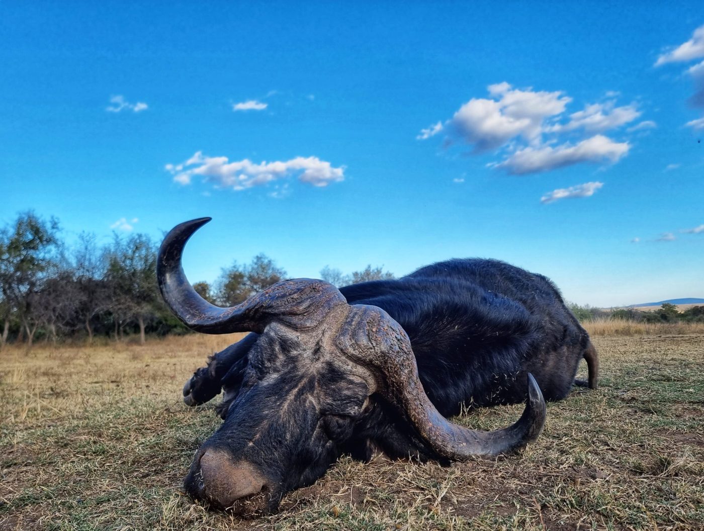 Langkloof hunting gallery photograph 100