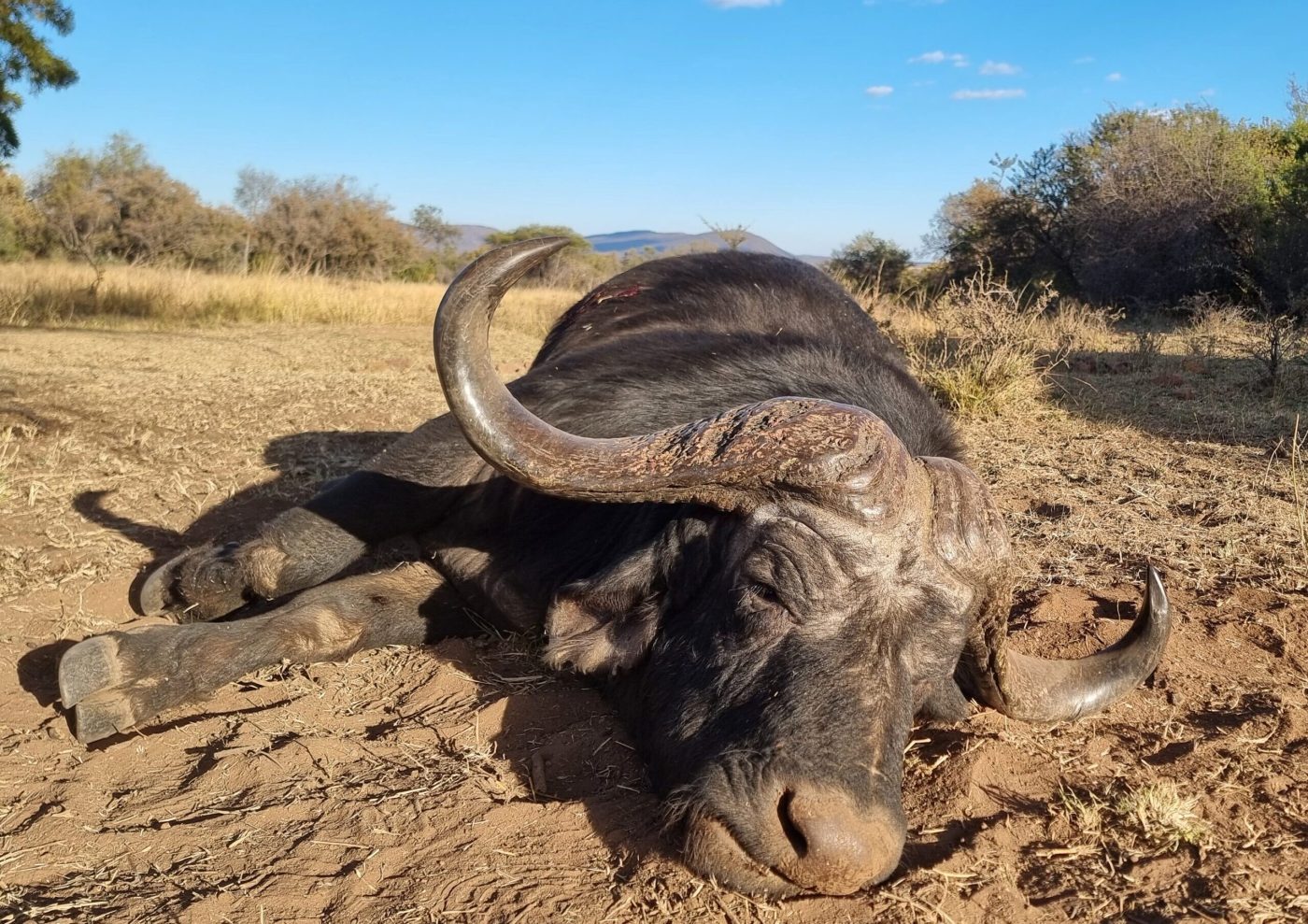 Langkloof hunting gallery photograph 101