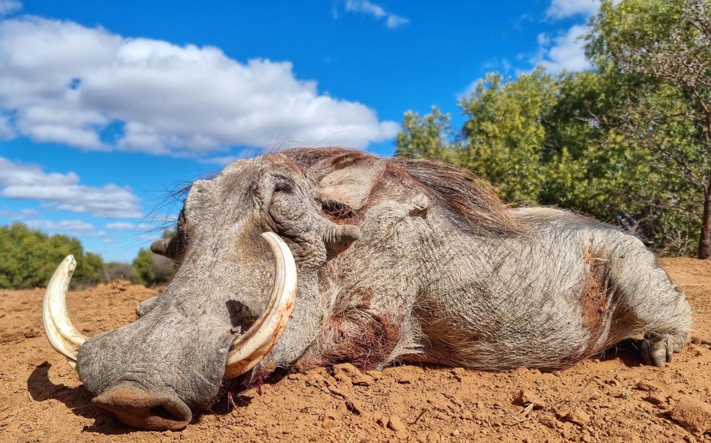 Langkloof hunting gallery photograph 105