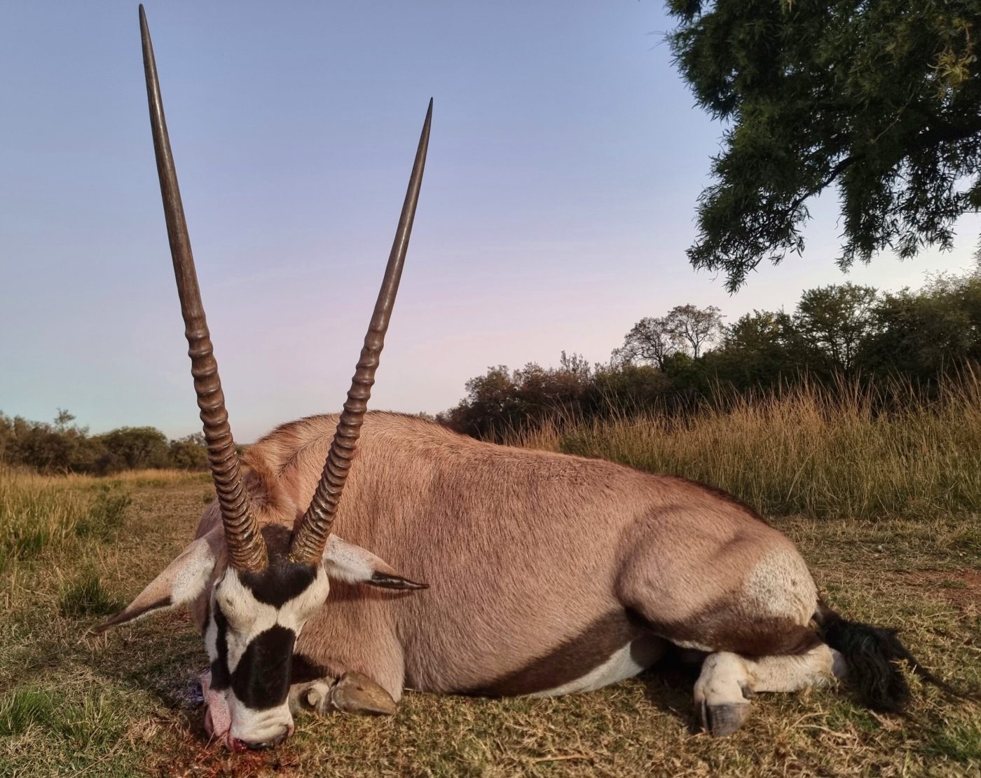 Langkloof hunting gallery photograph 108