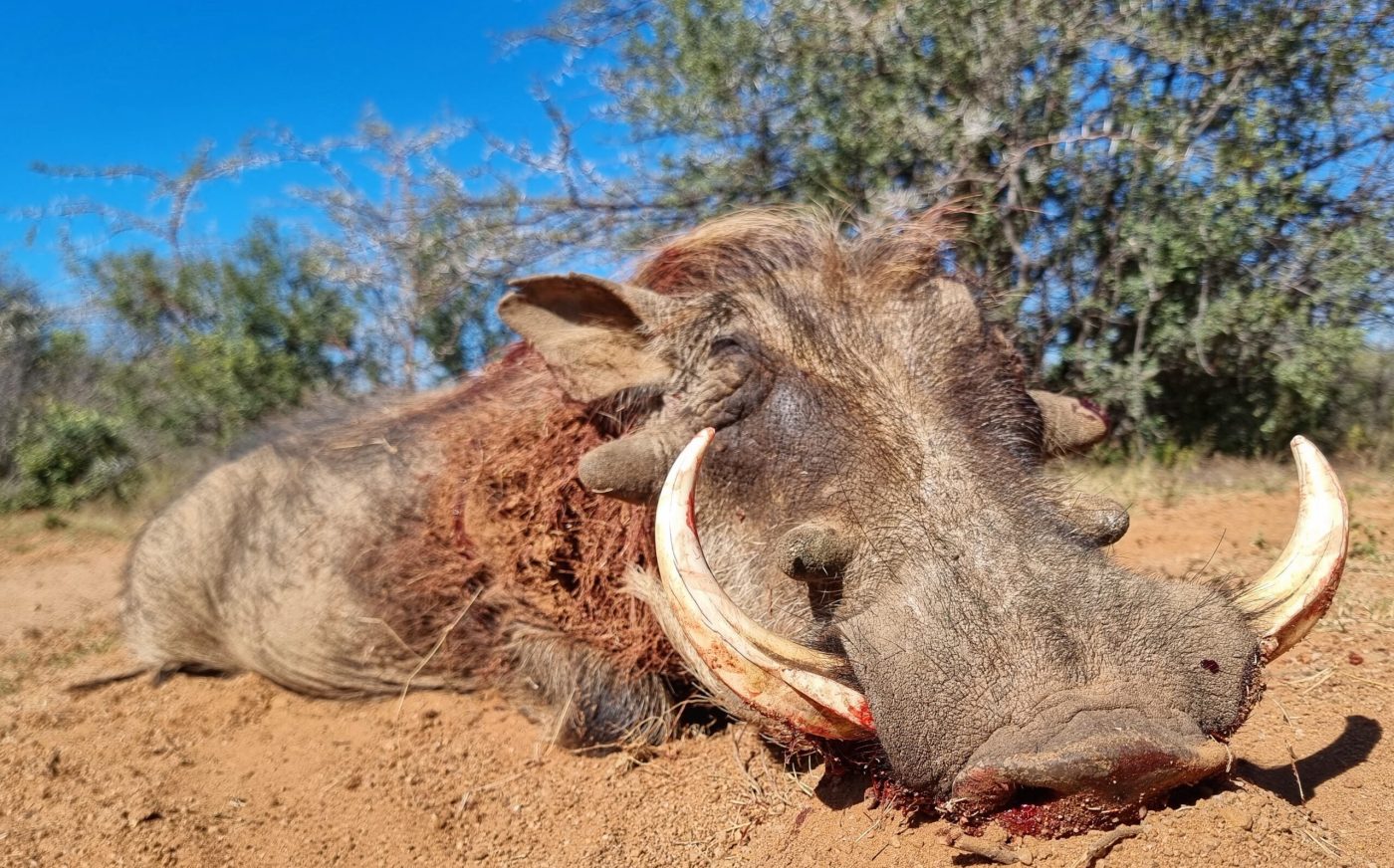 Langkloof hunting gallery photograph 110