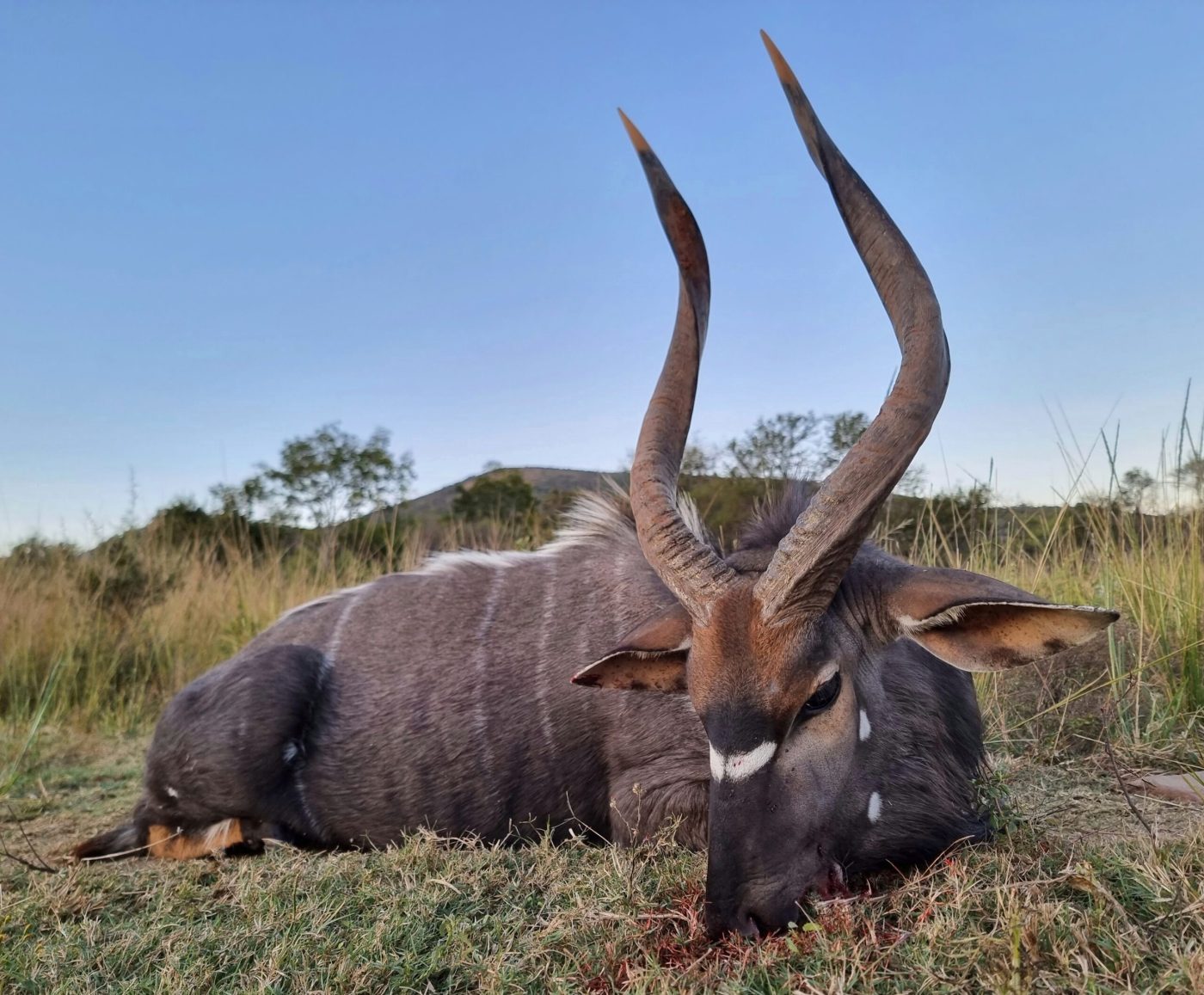 Langkloof hunting gallery photograph 111