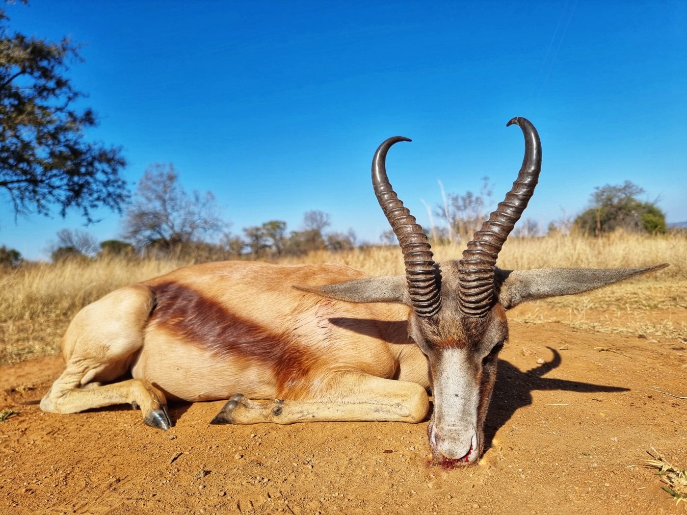 Langkloof hunting gallery photograph 112