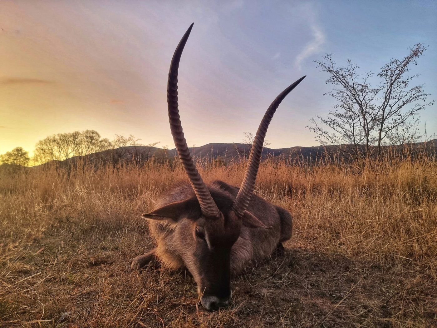 Langkloof hunting gallery photograph 120