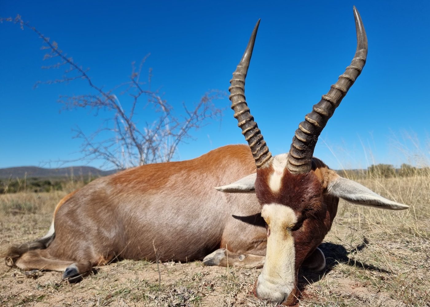 Langkloof hunting gallery photograph 123